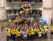 Imatge de les govindes, les torres humanes alçades per les colles hindús Font: 