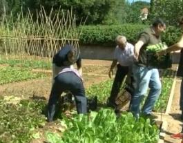 Hort solidari de Valldoreix (imatge: extreta video Cugat.cat) Font: 