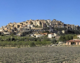 Vista panoràmica de la població de l