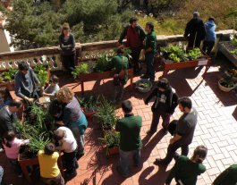 Verdinada Font: Lluïsos de Gràcia