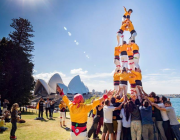 Els castellers de Sydney durant una actuació.  Font: Joel Mesas