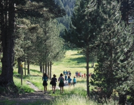 Campaments de RiNG de l