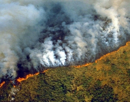 Els incendis ja porten actius des del 6 d