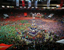 Els Capgrossos de Mataró han estat la colla revelació de la jornada Font: Concurs de Castells