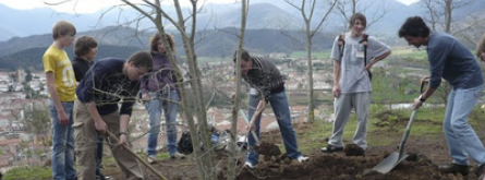 Ajuts a entitats sense ànim de lucre del tercer sector ambiental de Catalunya afectades econòmicament per la COVID-19