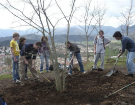 Ajuts a entitats sense ànim de lucre del tercer sector ambiental de Catalunya afectades econòmicament per la COVID-19