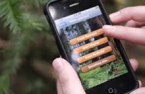 Imatge de la notícia 11 apps per connectar amb la natura