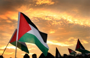 Bandera de Palestina. Font: Diego Sandoval, Flickr