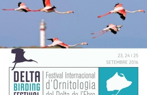 Imatge de la notícia El Delta Birding Festival ja té dates i busca voluntaris i voluntàries