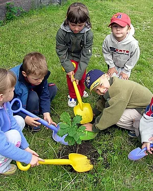 Nens plantant un arbre. Font: 1010uk (Flickr)