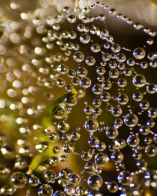 Mol·lècules_kastorhp_Flickr Mol·lècules_kastorhp_Flickr