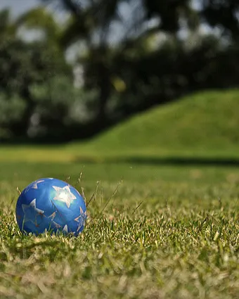 Pilota enmig de l'herba_rodolfoaraiza.com_Flickr