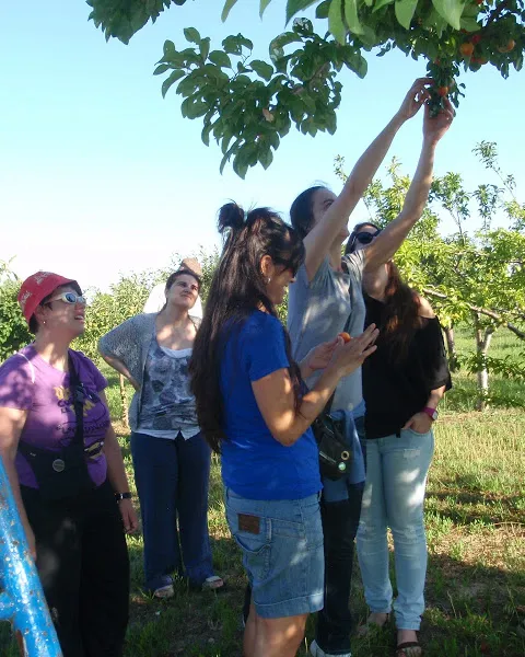 Visita del grup de consum El Rebost del Delta de Gavà als camps de La Trama
