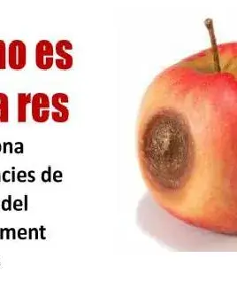 Aquí no es llença res