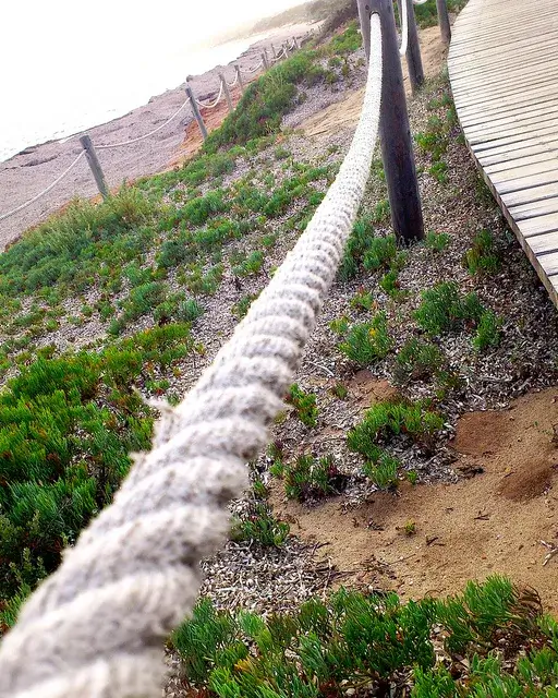 Camí amb passarel·la de fusta i zona natural protegida