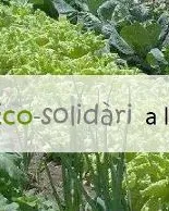 Cartell de l'Hort Eco-Solidari de la UdG (Font: Oficina de Cooperació)