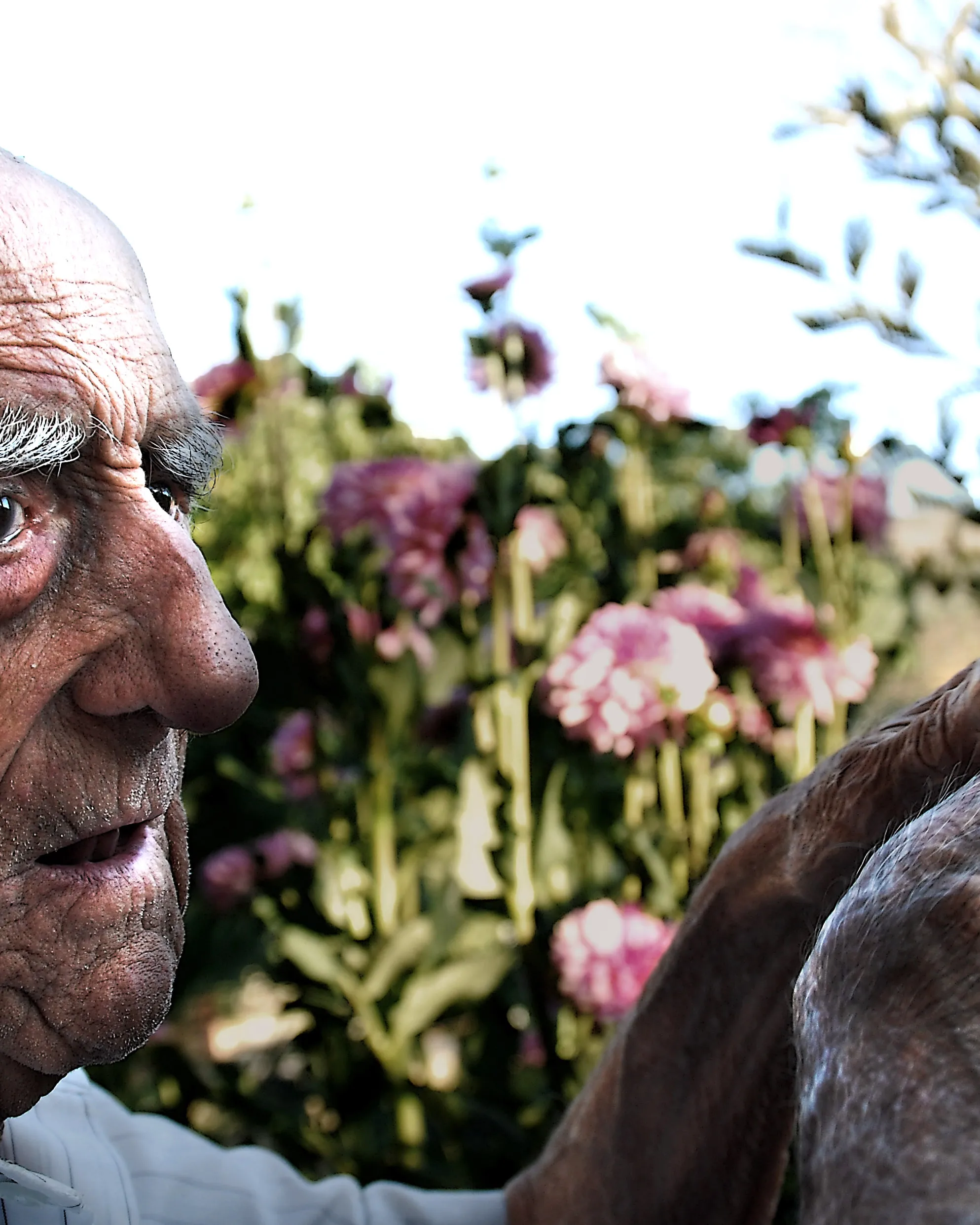 Vellesa_fotodiagramas_Flickr