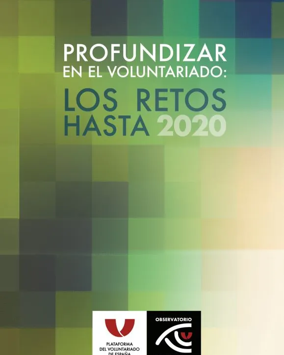 plataforma_profundizar_voluntariado.jpg