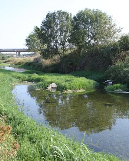 Reunió de voluntaris del projecte Camí al Francolí (imatge: ASSOC-CEN.ORG)