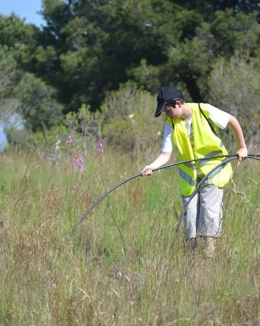 Jornada de voluntariat ambiental al Mur Verd de La Canonja amb el Gepec (imatge: gepec.cat)