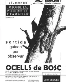 Sortida ornitològica a Olot amb IAEDEN (imatge:iaeden.cat)