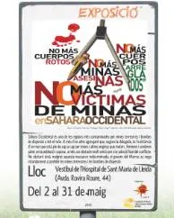 Cartell de l'exposició