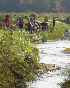 Jornada de voluntariat ambiental per la determinació ecològica del riu Ripoll amb l'Adenc (imatge: adenc.cat)
