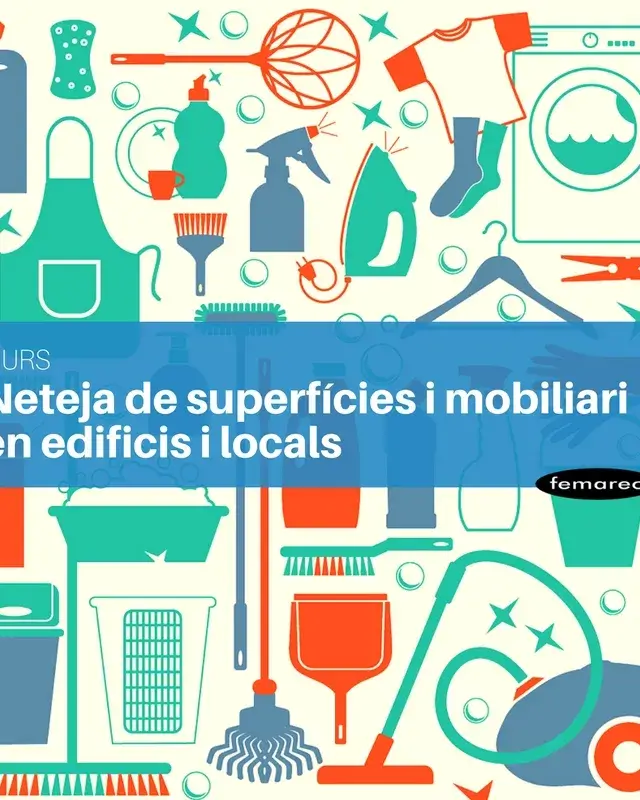 Curs Neteja en edificis i locals