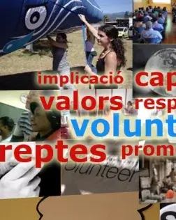 Paraules de voluntariat.