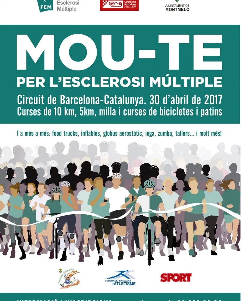 Cartell de la 17a edició de la festa. Font: FEM