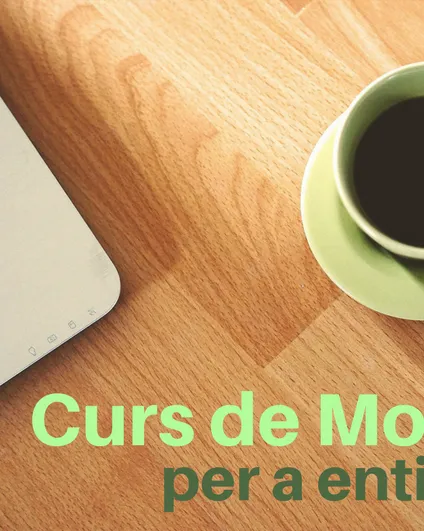 Curs de Moodle per a entitats: Font: Plana web del Teb
