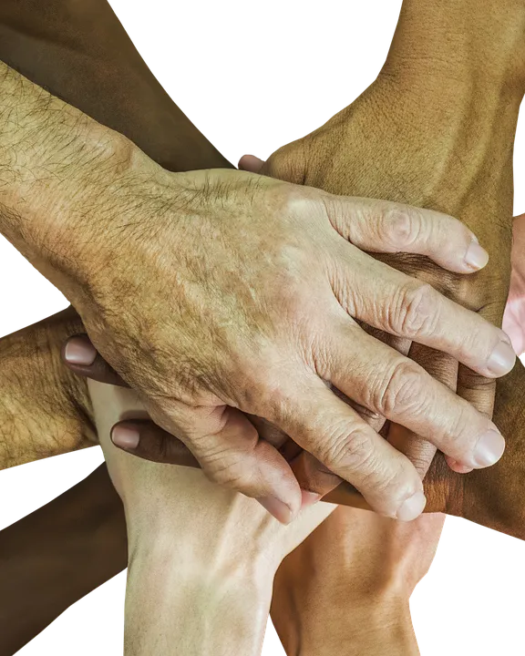 Curs sobre Qualitat en la gestió de l’equip humà. Font: Pixabay