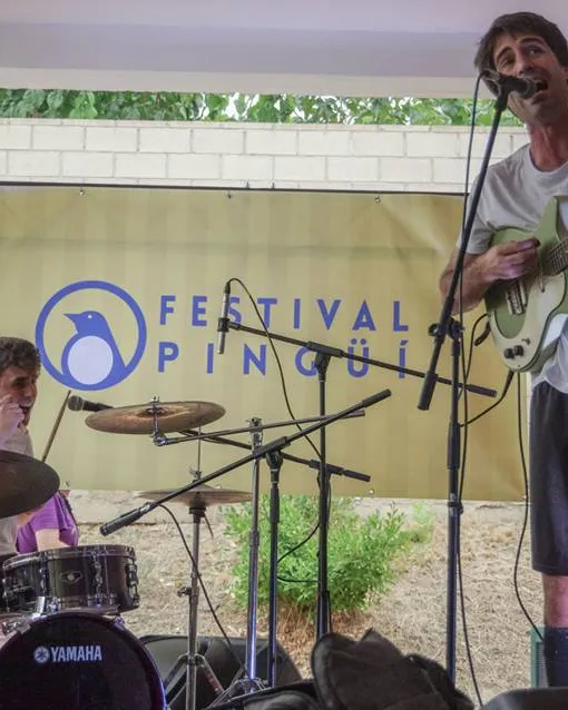 Vàlius al Festival Pingüí 2015