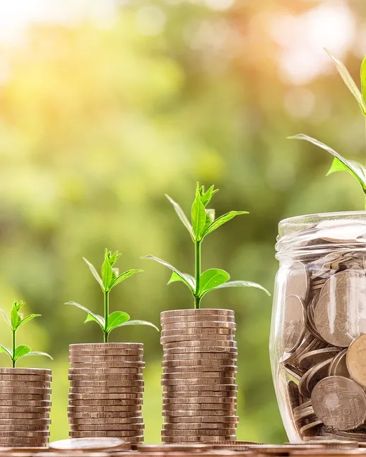 Curs sobre 'Subvencions, línies d’ajut i finançament adreçat a cooperatives i societats laborals'. Font: Pixabay