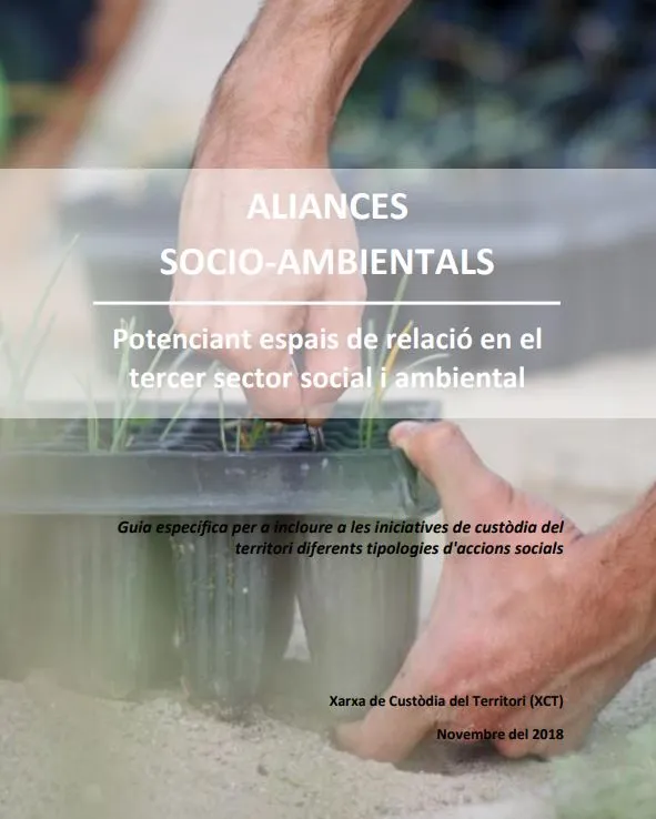 aliances.jpg
