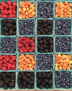 La campanya la duen a terme simultàniament els quatre bancs d'aliments de Catalunya. Font: Unsplash.