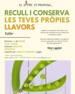 Recull i conserva les teves llavors