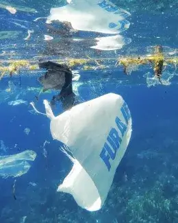 A Plastic Ocean (Craig Leeson, 2016) A Plastic Ocean (Craig Leeson, 2016)