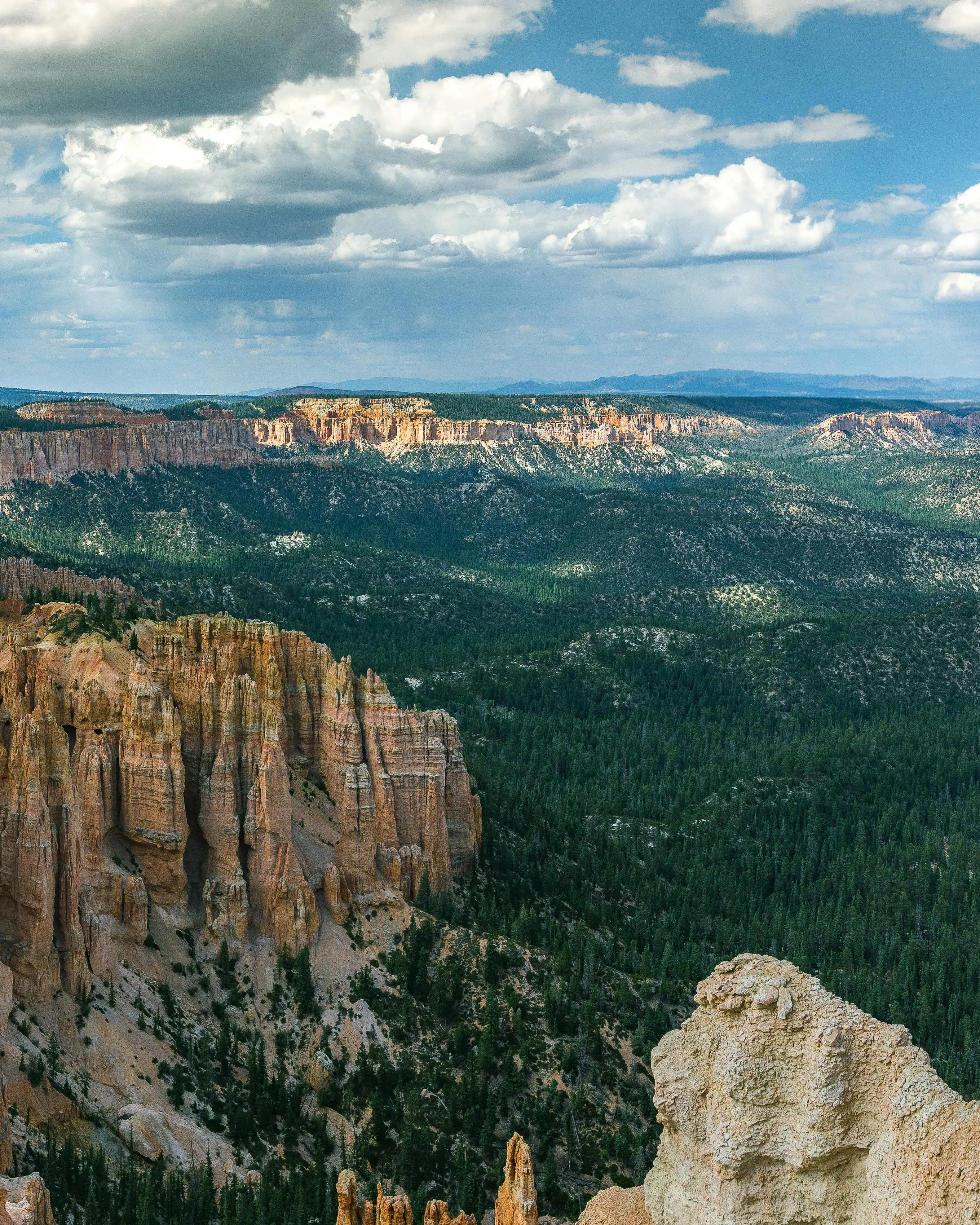 Imatge panoràmica d'un parc natural