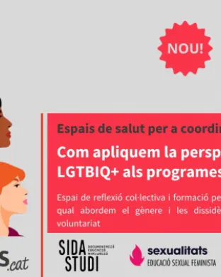 Cartell de la formació organitzada per la Federació Catalana de Voluntariat Social.