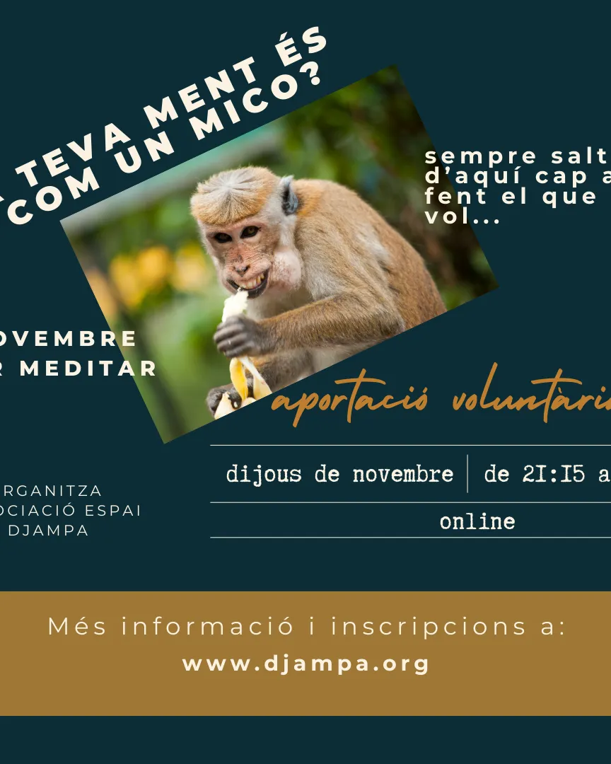 Trobades ONLINE novembre 2024