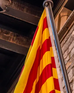 Des del 1907, l'Institut d'Estudis Catalans treballa per potenciar l'ús de la llengua. Font: Canva.