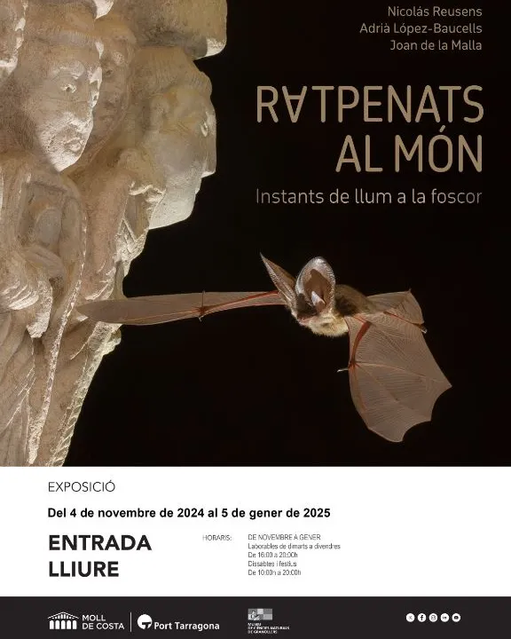 Cartell de l'exposició 'Ratpenats del món. Instants de llum a la foscor'