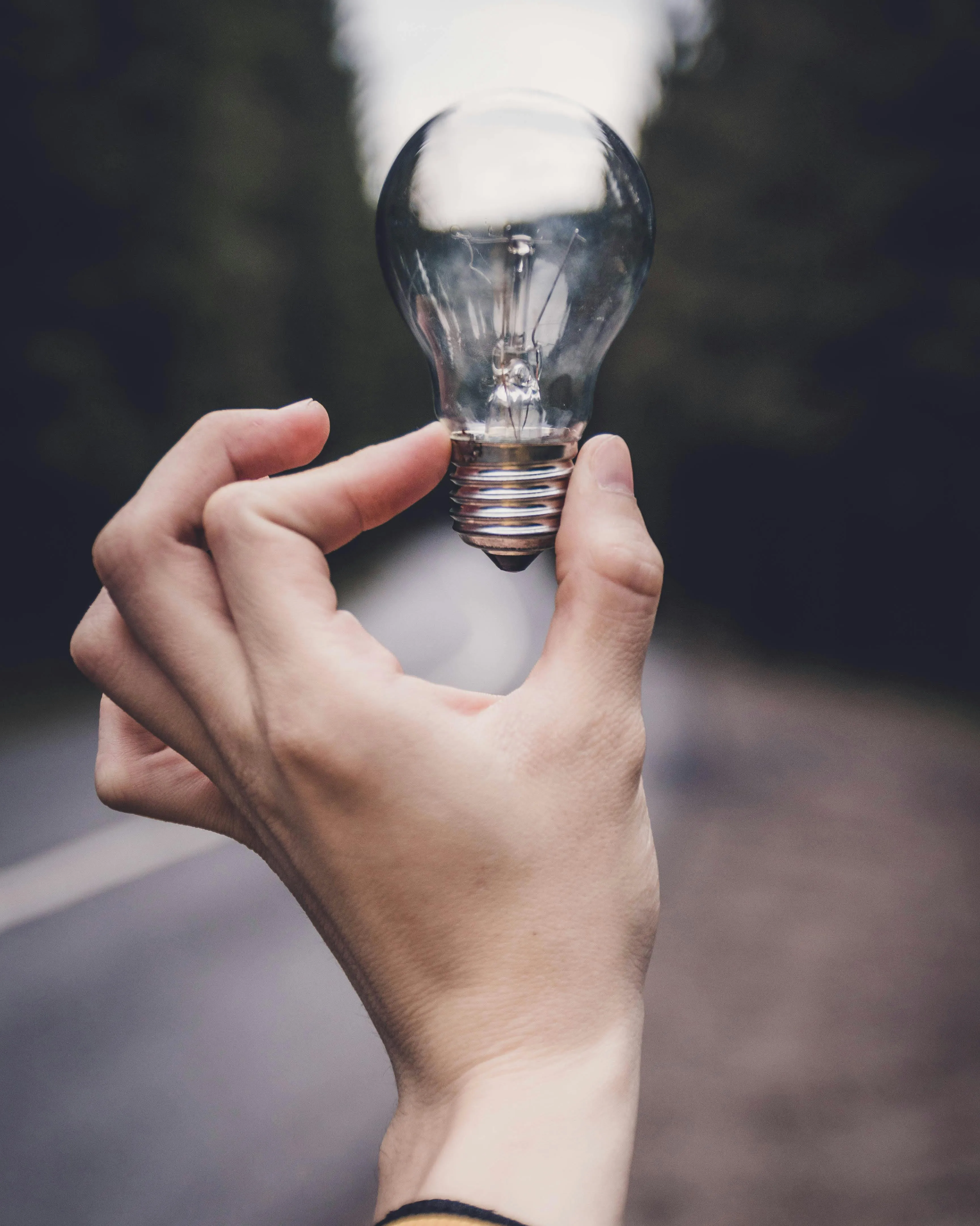 Mà agafant una bombeta amb un paisatge i un camí de fons