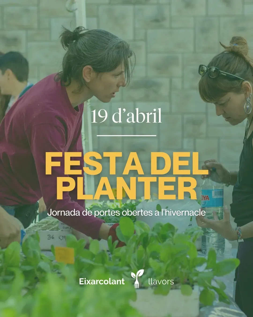 Cartell de la Festa del Planter 2025