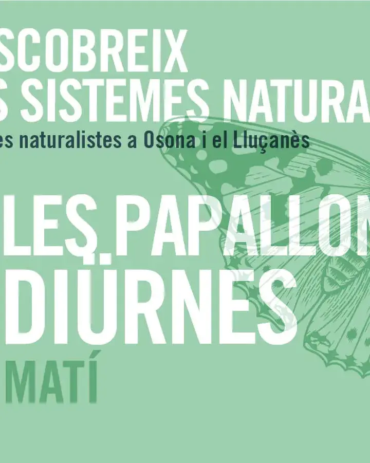 Cartell de la sortida ‘Les papallones diürnes d’Osona’