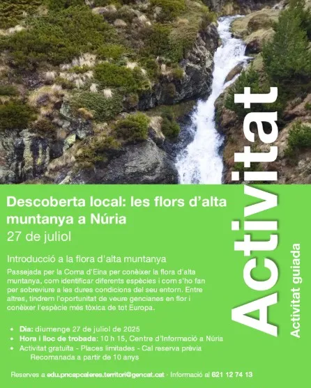 Passejada guiada per la Coma d’Eina per descobrir la flora d'altitud