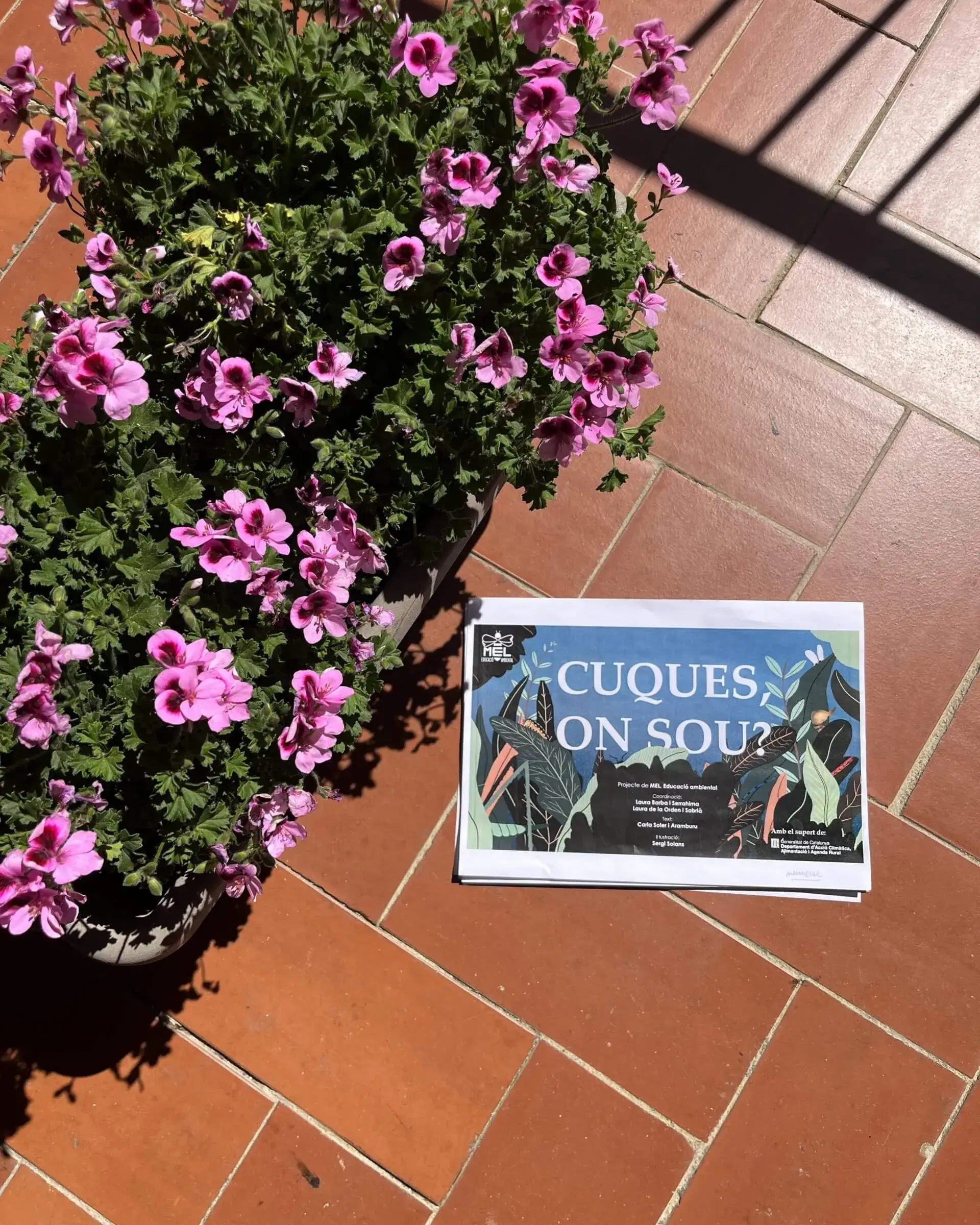 Conte teatralitzat sobre les cuques de llum