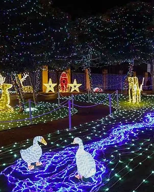 sortida Nadal sortida Nadal