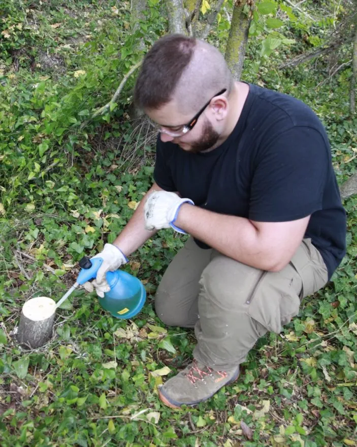 Una persona duent a terme tasques d’eliminació d’arbres exòtics invasors.